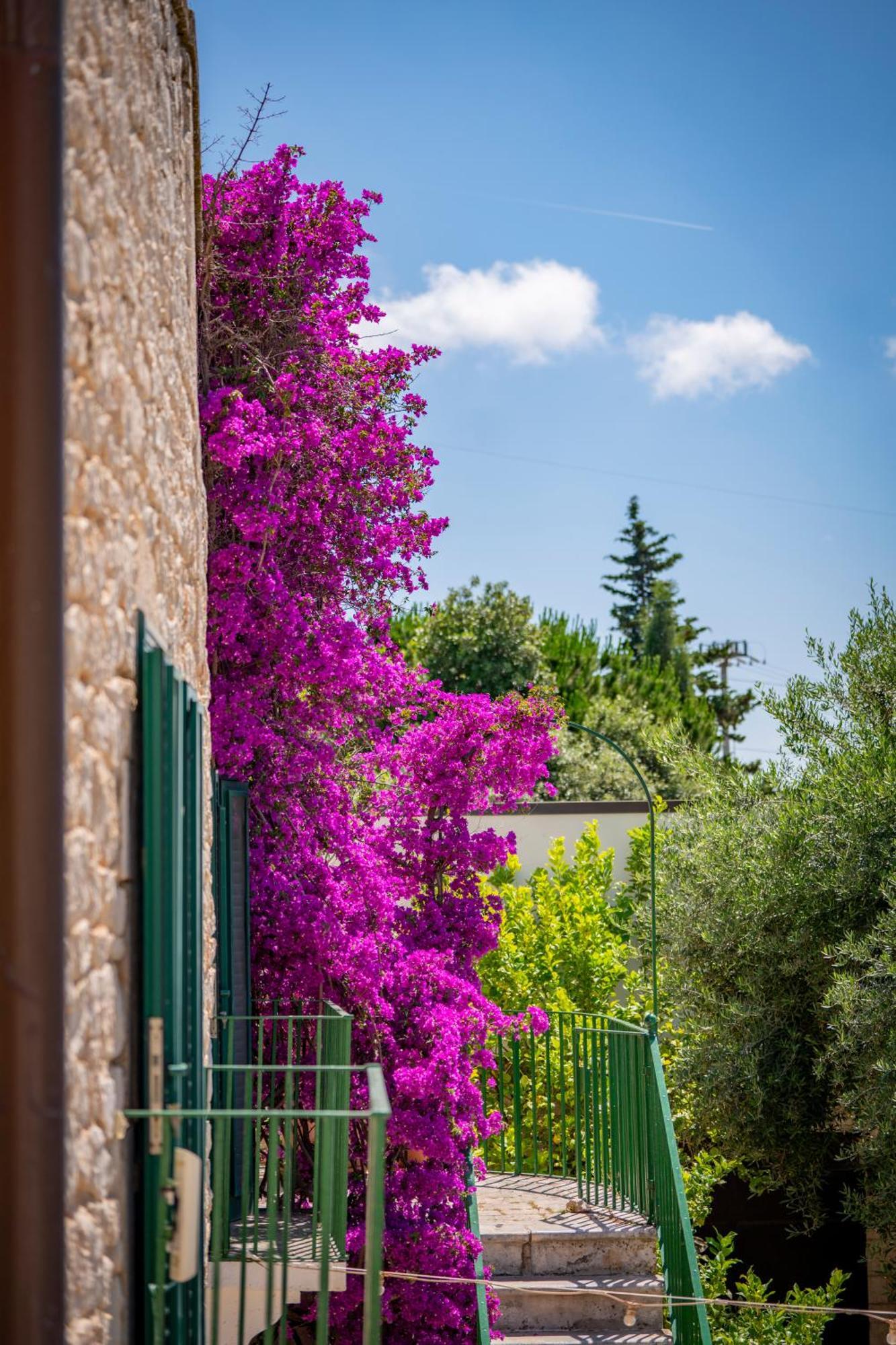 Masseria Montepaolo Dimora Di Charme Conversano Bagian luar foto